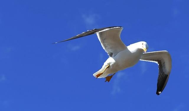 Aland Islands: the latest coronavirus counts, charts and maps – Reuters