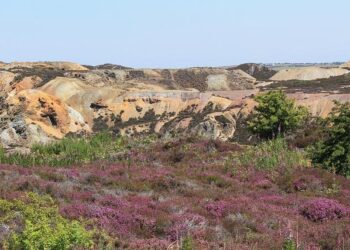 9 injured as bus leaves road while taking workers to Gibraltar copper mine north of Williams Lake – CBC