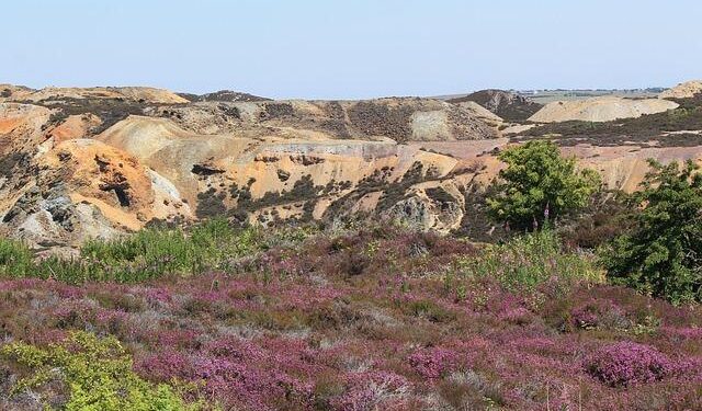 9 injured as bus leaves road while taking workers to Gibraltar copper mine north of Williams Lake – CBC