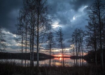 Finland exit World Handball Championship qualification with aggregate defeat to Montenegro – Flashscore.com