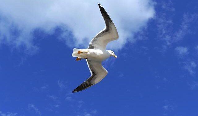 View of Mariehamn, capital of Finland’s autonomous Aland Islands – Global Times