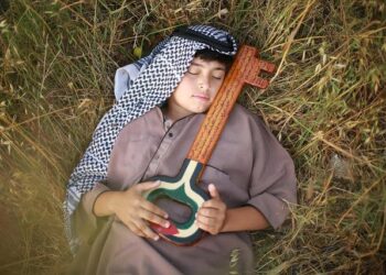 Palestine aIly Ireland under fire for allowing weapons transfers to Israel – Al Jazeera