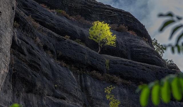 Czech Republic-Denmark and Bosnia-Italy go to penalties – onefootball.com