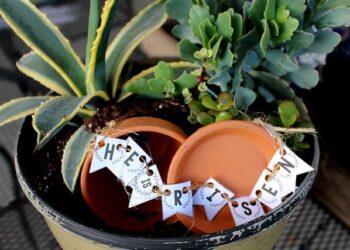 Holy Week celebrations around the world – Reuters