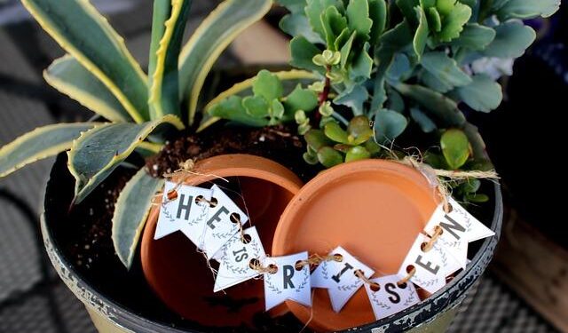 Holy Week celebrations around the world – Reuters