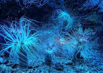 China/Russia/United States • US lawmakers raise alarm on Russia and China’s ‘seabed warfare’ – Intelligence Online