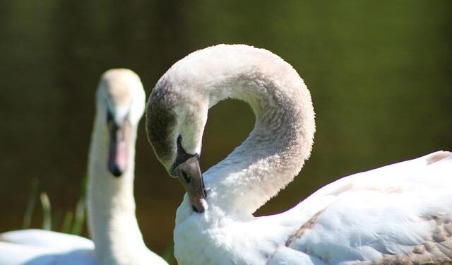 Clingendael Academy supports Bulgaria in responding to foreign information manipulation – Clingendael