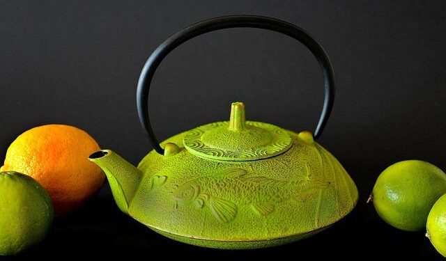 Pony.ai launches Europe’s first robotaxi service in Croatia – Automotive World