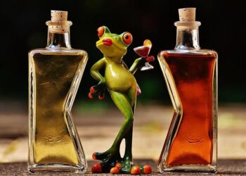 Zerova Appoints Comfort for EV Charger Service in Sweden – The EV Report