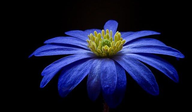 Balkans on edge: Kosovo political crisis sparks fears of renewed instability – Fox News