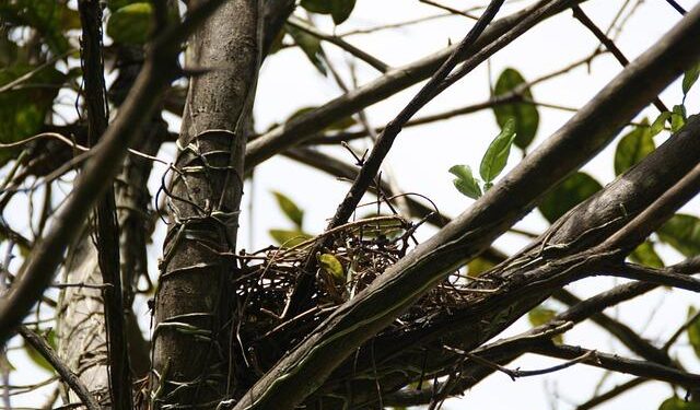 Absence of conscription poses threat to EU’s defense capabilities, says Lithuanian colonel – Ukrinform