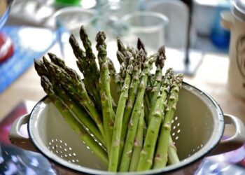 Weak mag. 2.5 earthquake – 177 km west of Longyearbyen, Svalbard, Svalbard and Jan Mayen, on Monday, Jun 30, 2025, at 08:36 pm (Universal Time) – Volcano Discovery