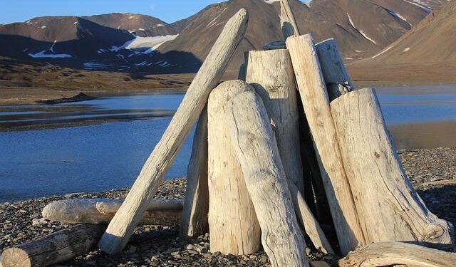 Latest quakes in or near Svalbard and Jan Mayen in the past 7 days – Volcano Discovery