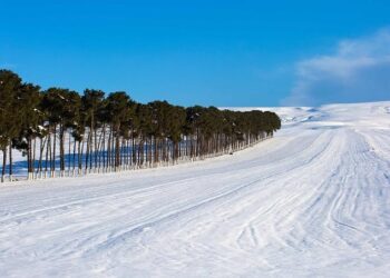 Azerbaijan sends 22 railcars of diesel fuel to Armenia – AzerNews