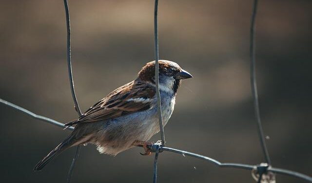 Estonia Won’t Detain Russian Tankers Over Risks – Военное дело