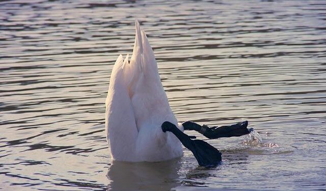 BREAKING: Finland’s Supreme Court Acquits Parliamentarian on Bible Tweet, Convicts Her for “Insult” in 20-Year-Old Church Pamphlet on Separate Charge – Alliance Defending Freedom International