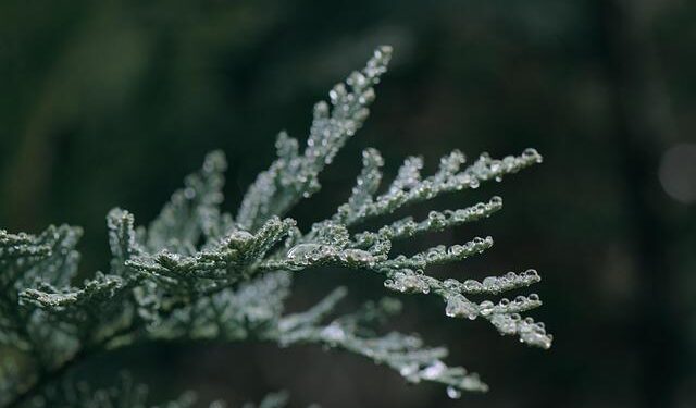 My Greek grief retreat in the Peloponnese – The Times