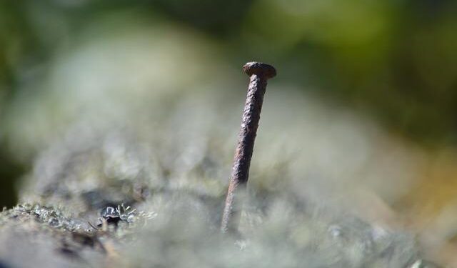 Average salary in 2025 at EUR 1,815 in Latvia / Article – LSM