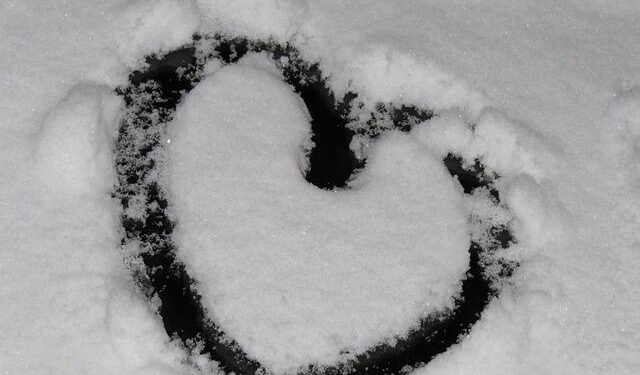 ‘Four Minus Three,’ Film About Family, Tears, Clowns and Hope That Won a Berlin Award, Sells to France, Canada, Australia – The Hollywood Reporter