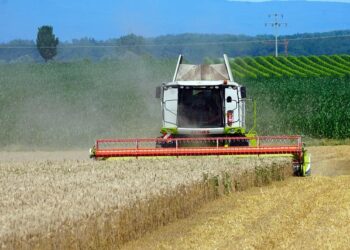 Government has no responsibility for Solway Harvester memorial – 3FM Isle of Man