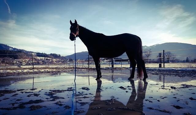 Sven Schwarz Turns In 14:40.93 Mile, Giving Germany Top 3 Global Performers This Season – SwimSwam