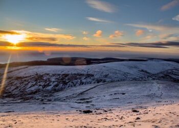 Isle of Man population survey to take place – BBC