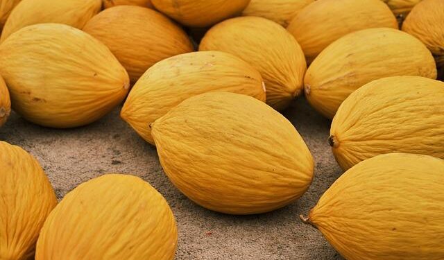 Why has Italy’s Giorgia Meloni suspended a defence pact with Israel? – Al Jazeera