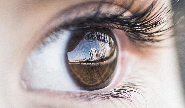 The 2025 Human Rights and Democracy Call for Proposals for Montenegro – EEAS