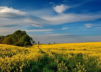 Poland’s culture minister calls Ye concert ‘unacceptable’ – TVP World