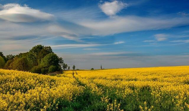 Poland’s culture minister calls Ye concert ‘unacceptable’ – TVP World