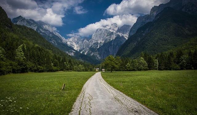 Slovenia leaving NATO? – Defence24.com