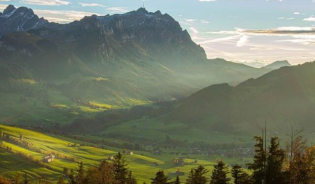 Lycamobile wins appeal against regulatory fine in Belgium – Telecompaper