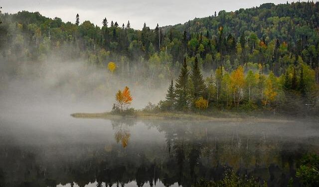 2026 World Cup Group B Preview: Canada, Bosnia, Qatar & Switzerland – RotoWire