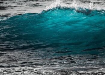 In Estonia, a marine wind farm was accidentally planned over a Russian communication cable – Inbox.eu