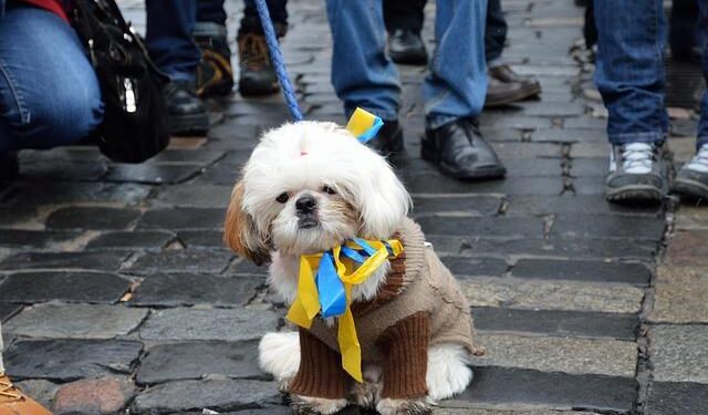 National Rally – Britannica