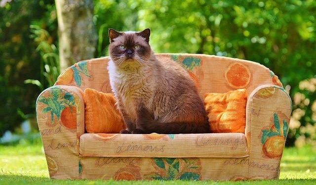 Italian sports minister dismisses plan for Azzurri to replace Iran at 2026 World Cup – The Guardian