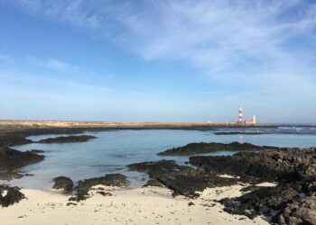 Ideal-tek wins Switzerland Global Enterprise’s 2026 Export Award – Switzerland Global Enterprise