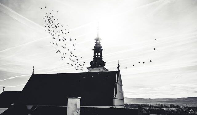 Lower Austria Zoning Law Update – and What Does This Mean for the Region? – Techerati