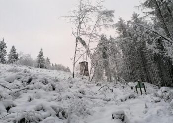 Hungary’s Viktor Orbán concedes defeat, ending 16 years in power – NPR