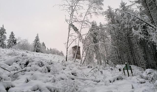 Hungary’s Viktor Orbán concedes defeat, ending 16 years in power – NPR