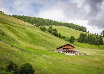 Italy dismisses ‘shameful’ idea to replace Iran at football World Cup – Australian Broadcasting Corporation