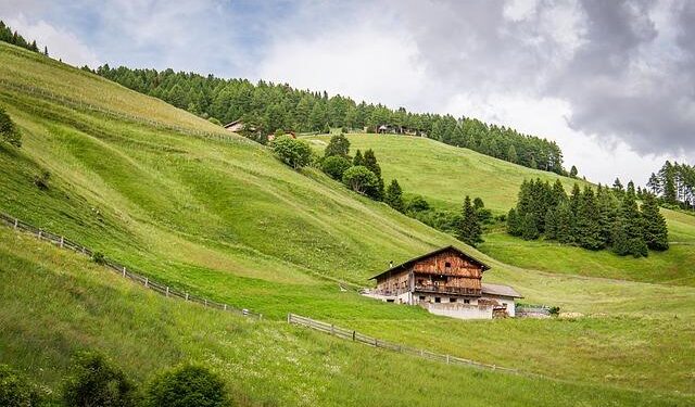 Italy dismisses ‘shameful’ idea to replace Iran at football World Cup – Australian Broadcasting Corporation