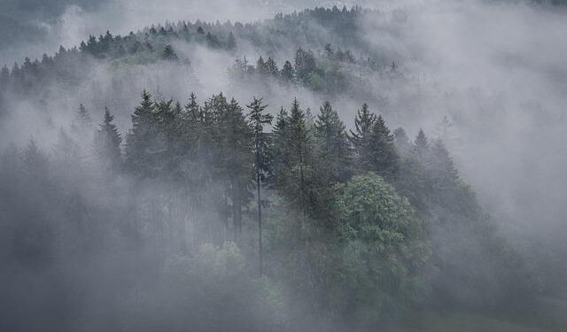 Drone crashes in Romania as Russia strikes neighbouring Ukraine – Euronews.com