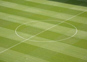 Exciting Midfielder Admits Ireland Ambitions After Heimir Goes On Scouting Mission – Balls.ie