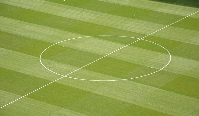 Exciting Midfielder Admits Ireland Ambitions After Heimir Goes On Scouting Mission – Balls.ie