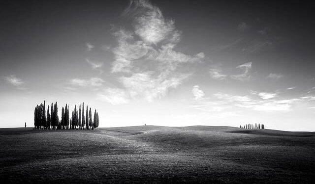 Italy extradites suspected Chinese hacker wanted by US authorities, says source – Reuters