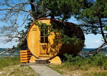 Latvia’s demographic destiny discussed within the walls of Rīga Castle / Article – LSM