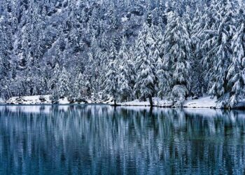 Switzerland Extends Loss Carryforward Period to 10 Years – Deloitte