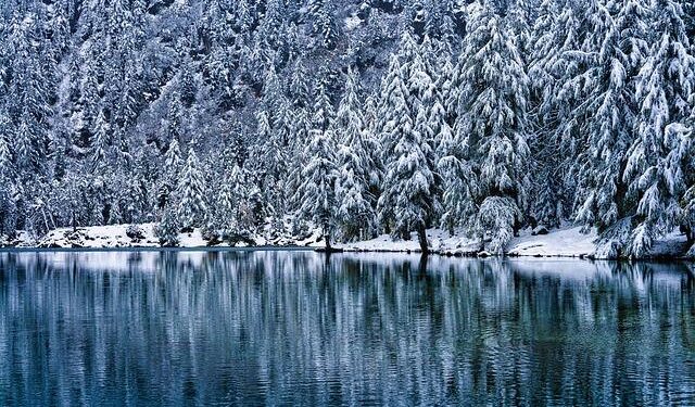 Switzerland Extends Loss Carryforward Period to 10 Years – Deloitte