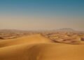 UAE break with OPEC: What does it mean for Kazakhstan? – Qazinform